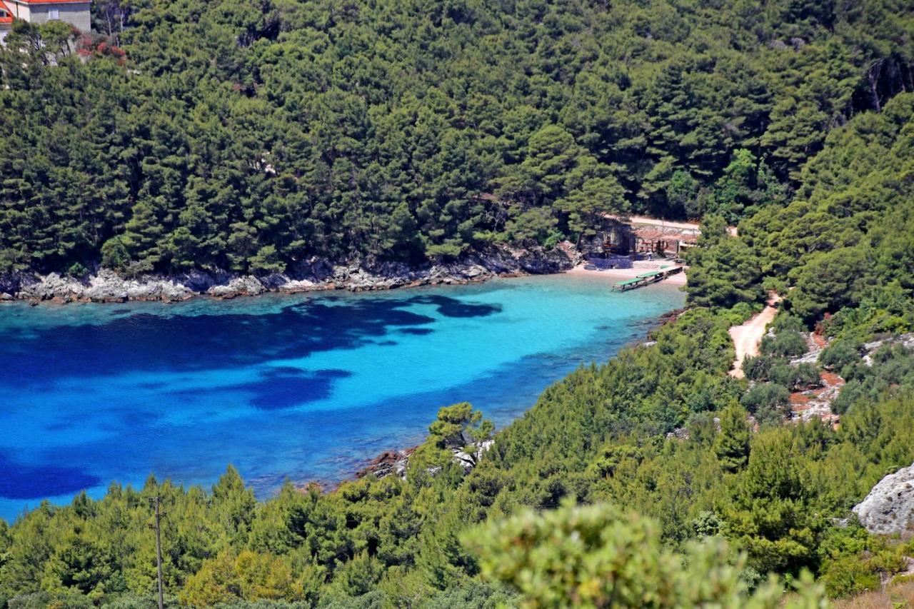 Apartments By The Sea Luka Dubrava, Peljesac - 14040 Putniković 外观 照片